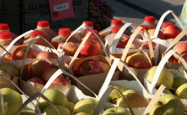 Bags of apples and gallons of apple cider from The Orchard at the North Market in Columbus Ohio