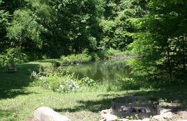 View of the Pond from the Porch